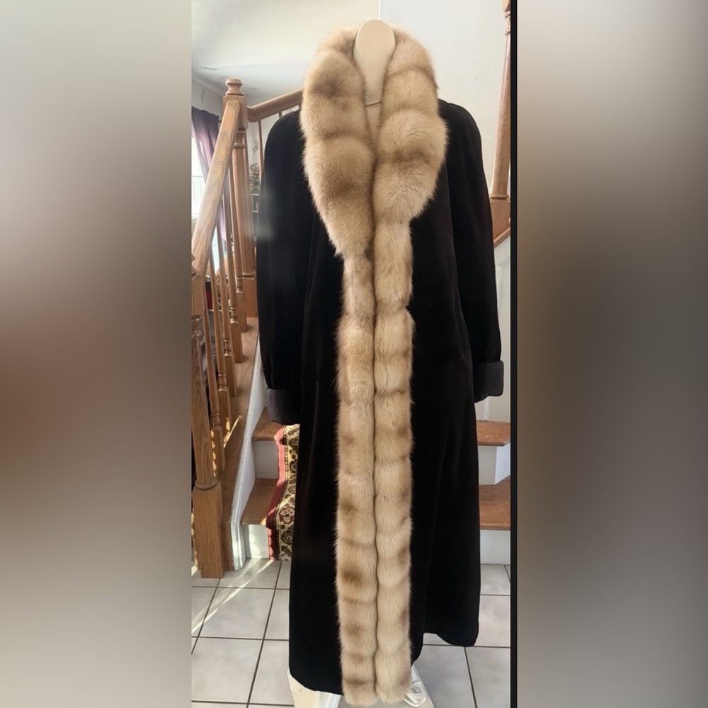 Gorgeous Sable trimmed tuxedo velvety Sheared Mink fur coat
